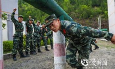 华体会网页版入口-包含四川队战术调整成功，全队发挥如火如荼的词条